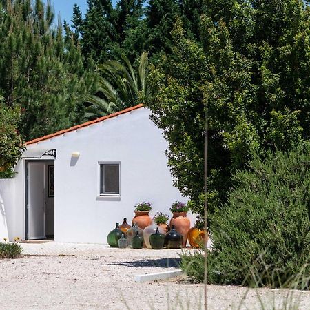Sete Quintas Country House Salvaterra de Magos Buitenkant foto